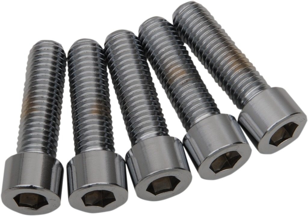 Drag Specialties ドラッグスペシャリティーズ Replacement Socket Head Bolts［DS192312］ 汎用ボルト・ネジ