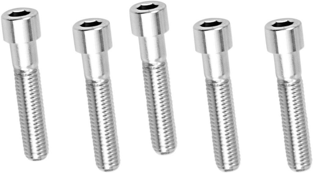 Drag Specialties ドラッグスペシャリティーズ Replacement Socket Head Bolts［DS192316］ 汎用ボルト・ネジ