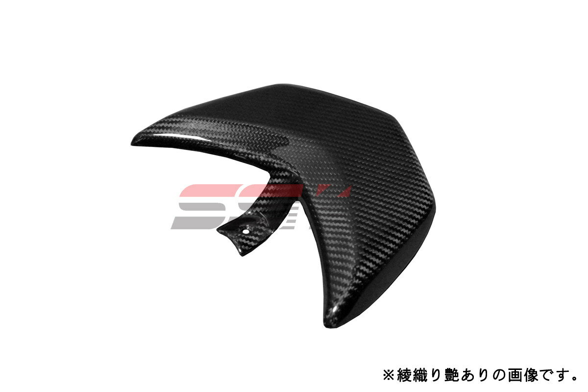 SPEEDRA スピードラ テールレンズカバー ドライカーボン HYPERMOTARD1100/S HYPERMOTARD796 DUCATI ドゥカティ テールランプレンズ 灯火類 電装系