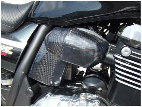 EIGHT(才谷屋) エイト(サイタニヤ) インジェクターカバー ZRX1200ダエグ KAWASAKI カワサキ サイドカウル・サイドカバー カウル関連 外装