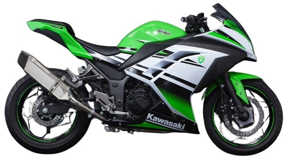 TRICKSTAR トリックスター レーシングスリップオンマフラー IKAZUCHI (イカヅチ) Ninja250 Z250 KAWASAKI カワサキ スリップオンマフラー マフラー タイプ：IKAZUCHIステンレスカーボン