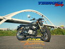 月木レーシング ツキギレーシング TRエキゾーストシステム 直管タイプマフラー Legend250Twin2 Legend250Twin3 Legend250Brighton GPX フルエキゾーストマフラー マフラー