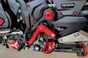 CNC Racing シーエヌシーレーシング ペダルセット DIAVEL V4 DUCATI ドゥカティ シフトペダル ステップ 足回り