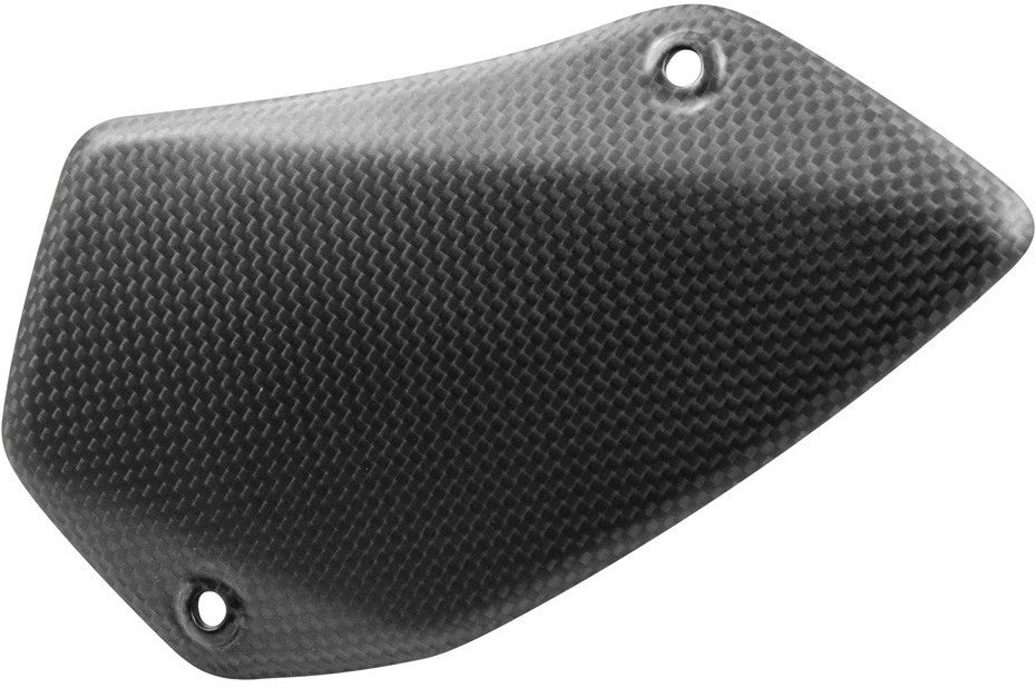 DUCABIKE (DBK) ドゥカバイク (ディービーケー) スイングアームカバー MULTISTRADA V4 RS PIKES PEAK DUCATI ドゥカティ スイングアームカバー・プロテクター 外装