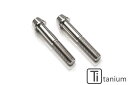 CNC Racing シーエヌシーレーシング フロントキャリパー用チタンボルトセット M10×1.25×60 (2個) DUCATI ドゥカティ MV AGUS...