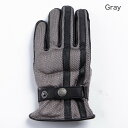 DEGNER デグナー メッシュグローブ/Mesh Gloves メッシュグローブ グローブ アパレル