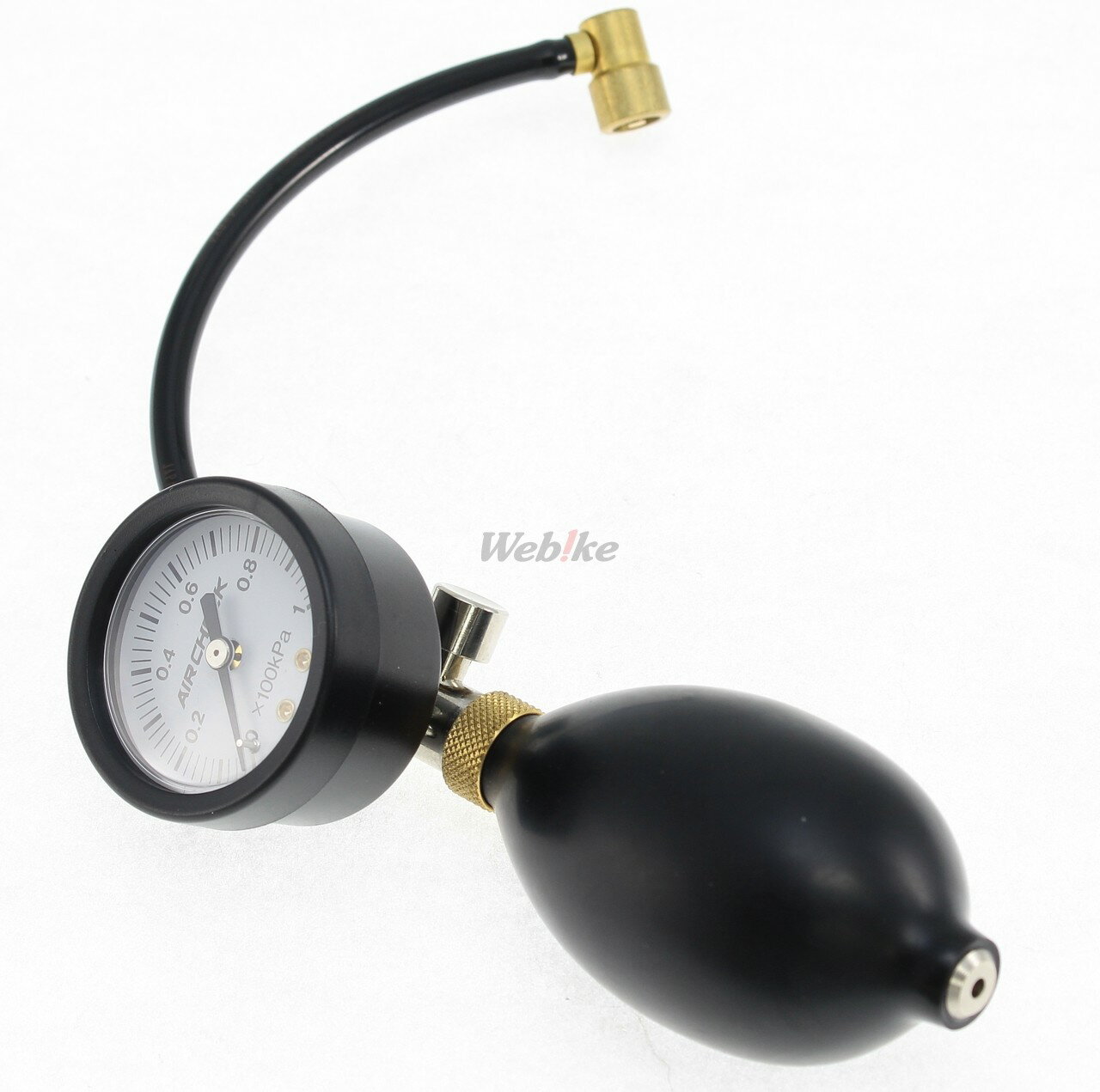 KIJIMA ������ �������������� ����¾���ƥʥ󥹾�ʪ