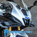 R2 SpeedTek R2 speedtek GPW レーシングウイングレットキット／YZF-R15V4 YZF-R15 V4 YAMAHA ヤマハ