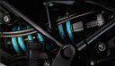 NITRON ナイトロン 25th Limited Edition Z900RS CAFE KAWASAKI カワサキ リアサスペンション サスペンション 足回り