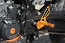 BABYFACE ベビーフェイス バックステップ 790DUKE 890DUKE KTM ステップ 足回り(2)