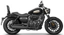 SHAD シャッド シーシーバーキット V-302C V-CRUISER125 FOX125 FOX300 バックレスト 外装