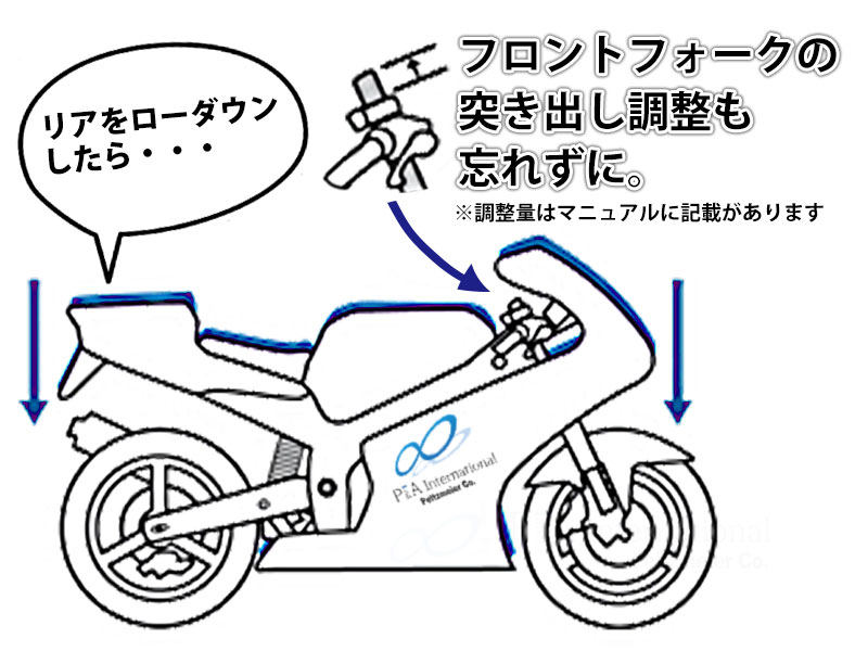 P&A International P&Aインターナショナル ローダウンキット V85 TT Travel MOTOGUZZI モトグッチ サスペンション 足回り