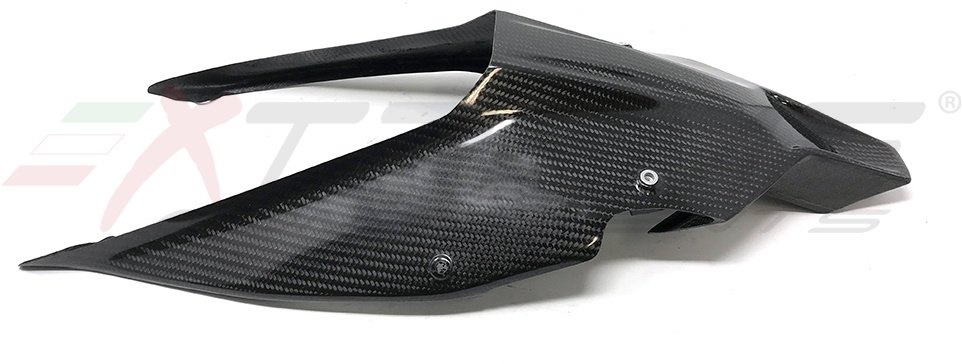 EXTREME COMPONENTS エクストリームコンポーネンツ テールアンダーカウル (レーシング仕様) Panigale V4 V4S V4R DUCATI ドゥカティ シートカウル・テールカウル カウル関連 外装