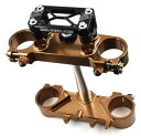 Wise Moto Sports ワイズモトスポーツ Costa トリプルクランプキット X-Trainer250 X-Trainer300 BETA ベータ ...