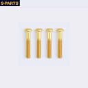 S-PARTS エスパーツ キャリパー用チタンボルトセット A2 M8×40MM キャリパーボルト・マウントボルト ブレーキ