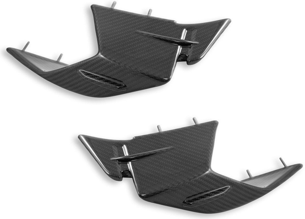 DUCABIKE (DBK) ドゥカバイク (ディービーケー) ドライカーボン ウィングレット S1000 RR BMW スポイラ..