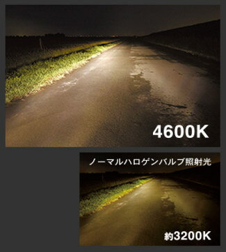 PIAA ピア MH461F HIDオールインワンキット パッション HIDキット 灯火類 電装系