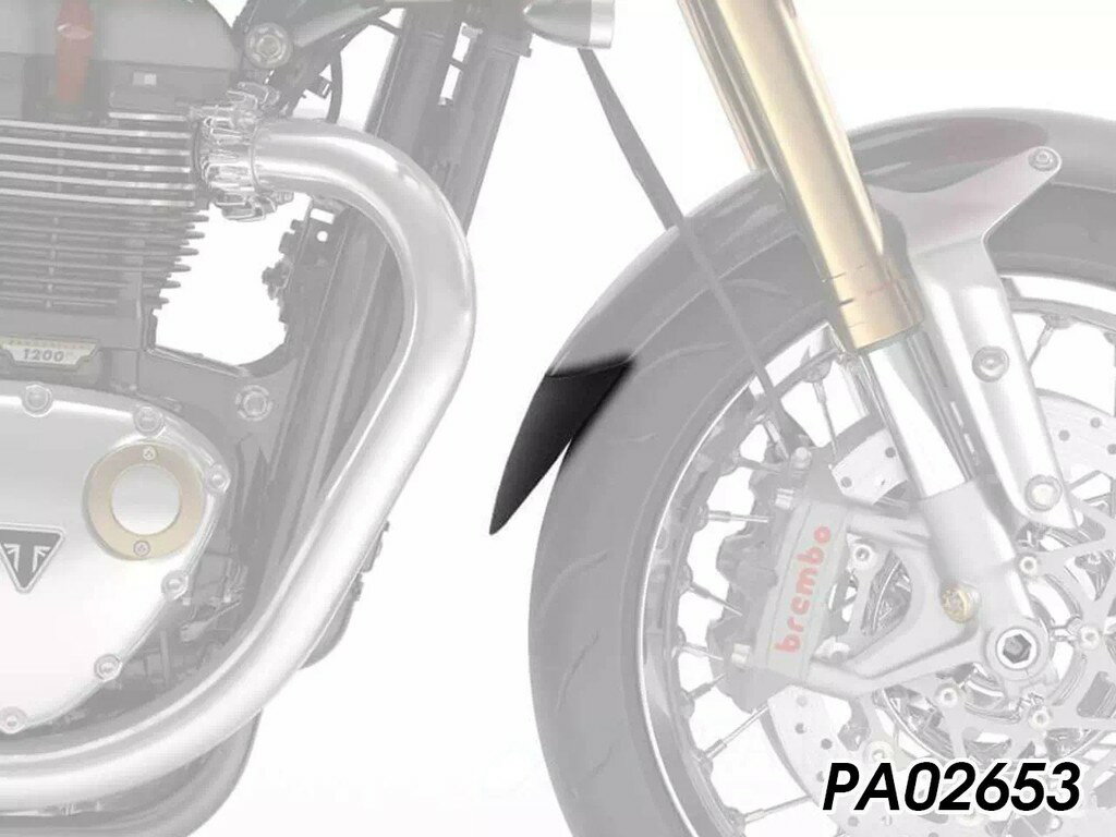 P&A International P&Aインターナショナル エクステンダーフェンダー Thruxton 1200 RS R TRIUMPH トライアンフ フロントフェンダー フェンダー関連 外装