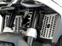 ODAX オダックス Powerbronze ラジエターカバー R1300GS BMW ラジエーター 冷却関連 エンジン