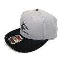 ism graffiti イズムグラフィティ フラットバイザーキャップ IS-CP03 キャップ・帽子 アパレル(2)