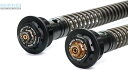 GEARS RACING ギアーズレーシング FFC-250-T フロントフォークカートリッジ (倒立フォーク) TNT300 (15-) BENELLI ベネ...