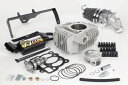 SP武川 SPタケガワ ハイパーSステージN-20ボアアップキット138cc(ビッグスロットルボディー) Z125PRO KAWASAKI カワサキ ピストン ...