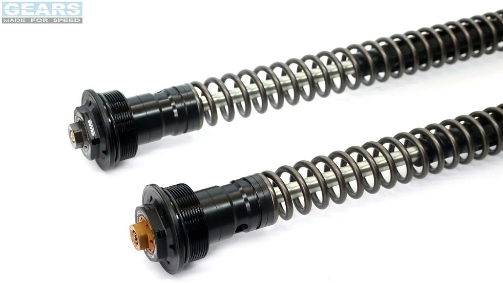 GEARS RACING ギアーズレーシング FFC-250-T フロントフォークカートリッジ (倒立...