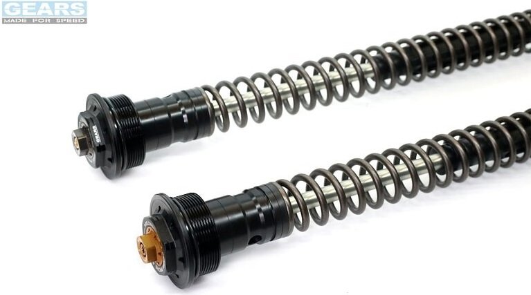 GEARS RACING ギアーズレーシング FFC-250TT フロントフォークカートリッジ 倒立フ...