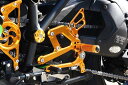 BABYFACE ベビーフェイス パフォーマンスステップキット H2SX SE KAWASAKI カワサキ バックステップ ステップ 足回り