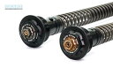 GEARS RACING ギアーズレーシング FFC-250-T フロントフォークカートリッジ (倒立フォーク) MT-09 SP (21-) YAMAHA ヤ...