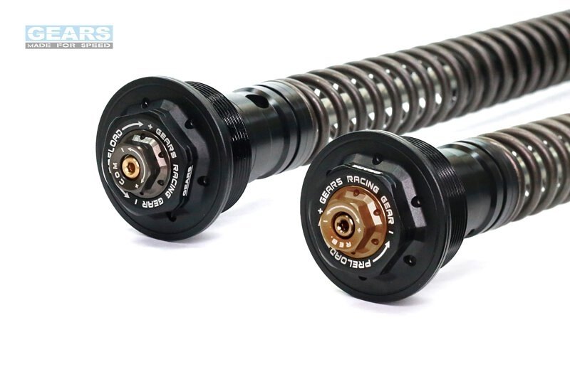 GEARS RACING ギアーズレーシング FFC-250TT フロントフォークカートリッジ (倒立フォーク) Speed 400 (24-) TRIUMPH トライアンフ カートリッジキット サスペンション 足回り