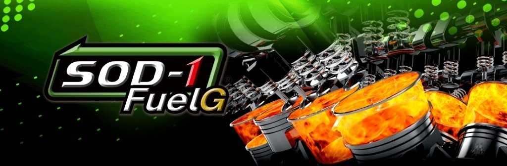 D1���ߥ��� �ǥ�����󥱥ߥ��� SOD-1 Fuel G(���������ǥ������ �ե塼���른��) �������ǳ��ź�ú� ������ź�ú� ������