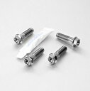 PRO BOLT プロボルト Stainless Steel Front Brake Mounting Bolt Kit RS250 SL1000 Falco ...