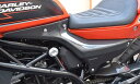 BLESS R’S ブレスアールズ サイドカウル(左右セット) X350 HARLEY-DAVIDSON ハーレーダビッドソン サイドカウル・サイドカバー カウ...