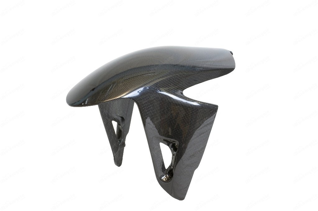 LighTech ライテック フロントマッドガード PANIGALE V4 S R SP STREETFIGHTER DUCATI ドゥカティ フロントフェンダー フェンダー関連 外装