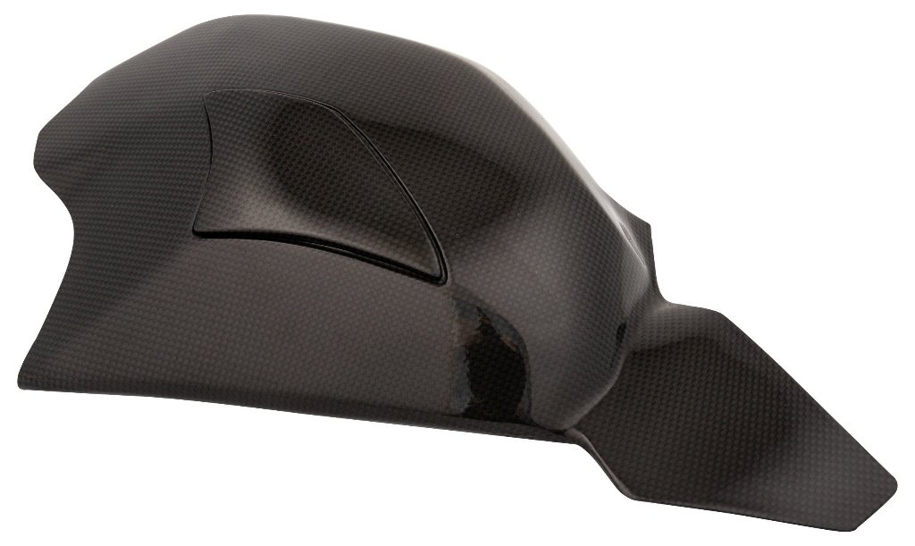 LighTech ライテック ドライカーボン スイングアームプロテクター PANIGALE V4 S R SP DUCATI ドゥカティ スイングアームカバー・プロテクター 外装