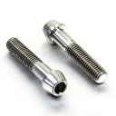 PRO BOLT プロボルト フロントアクスルピンチボルトセット R1150GS Adventure CBR650F Bobber Black Daytona ...