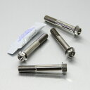 PRO BOLT プロボルト フロントブレーキキャリパーマウンティングボルトキット 999R S Monster 821 VFR1200 FD ZX-6R 63...
