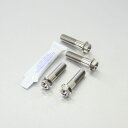 PRO BOLT プロボルト フロントブレーキキャリパーマウンティングボルトキット Pegaso 650 Factory ER6-N Z750 ZRX1100 ...