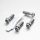 PRO BOLT プロボルト フロントブレーキキャリパーマウンティングボルトキット RS250 SL1000 Falco F800S Versys 650 ZX...