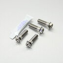 PRO BOLT プロボルト フロントブレーキキャリパーマウンティングボルトキット RS250 SL1000 Falco F800S Versys 650 ZX...