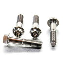 PRO BOLT プロボルト フロントキャリパーピンチボルトセット 690 Duke KTM キャリパーボルト・マウントボルト ブレーキ