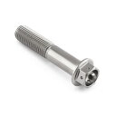 PRO BOLT プロボルト リアブレーキキャリパーマウンティングボルトキット キャリパーボルト・マウントボルト ブレーキ