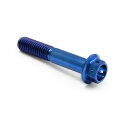 PRO BOLT プロボルト リアブレーキキャリパーマウンティングボルトキット MT-03 YZF-R3 YAMAHA ヤマハ キャリパーボルト・マウントボルト...