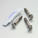 PRO BOLT プロボルト リアブレーキキャリパーマウンティングボルトキット XL1000V V4-V9 Varadero HONDA ホンダ キャリパーボル...