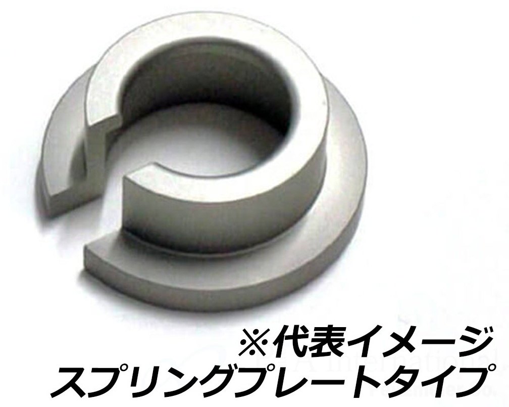 P&A International P&Aインターナショナル ローダウンキット R12 G/S BMW サスペンション 足回り