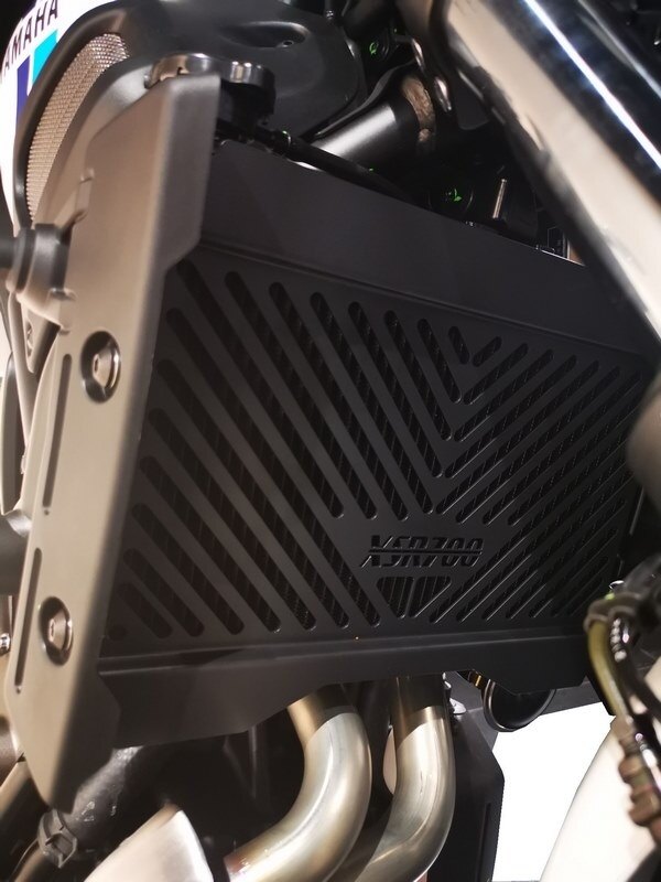 ACCESS DESIGN アクセスデザイン Radiator Guard Grill ラジエーターコアガード・...