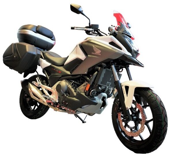 ACCESS DESIGN アクセスデザイン Radiator Guard Grill ラジエーターコアガード・...