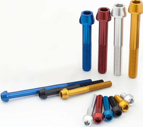 EVOTECH エボテック Ergal Bolts Tcce M6X95， Gold その他汎用外装部品・ドレスア...
