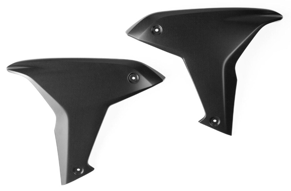 LighTech ライテック ドライカーボン サイドカウル MULTISTRADA V4 PIKES PEAK S DUCATI ドゥカティ サイドカウル・サイドカバー カウル関連 外装